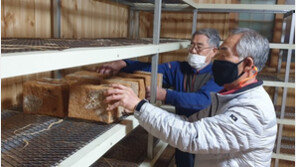 어르신 정성으로 빚은 메주