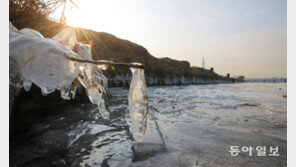 ‘따뜻해진 북극’에 한반도 날씨 냉-온탕 반복