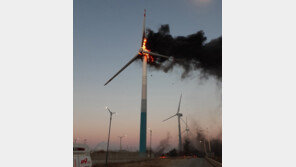 영흥발전소 풍력발전기에 불… 인명피해 없어