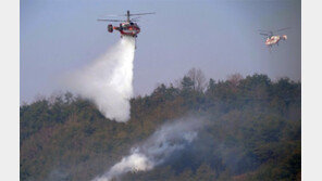안동 산불 21시간만에 진화… 전국 산림 300ha 잿더미로