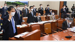 ‘산재 청문회’ CEO 불러놓고… “日 신사참배 갔었나” 황당 질의