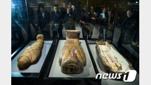 “이집트 미라 우대·국내 미라 박대”…‘화장·매장 위기’ 韓미라들