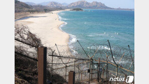 “軍, 월남 北남성 8회 포착때까지 아무 조치 안 해”