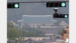 ‘고양이 학대 처벌’ 청원에 靑 “동물학대 범위 확대…수강명령도 병과”