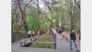 노원구, 영축산 정상 통과하는 무장애 순환산책로 조성