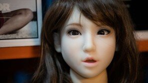 “리얼돌 수입 금지 부당” 판결 이어져…수입업체 또 승소