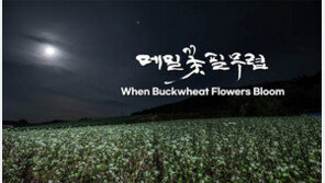 디딜방아-맷돌소리… 한국 전통의 소리는 좋은 것이여!