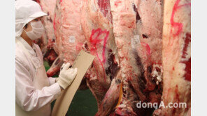 농협, 소 근출혈 피해 농가에 23억3000만원 보상