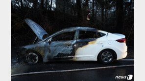 제주 비자림로 달리던 렌터카 화재…“엔진룸서 화염”