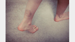 한밤중 초등생 두 아들 옷벗겨 야산 방치한 母 ‘집유’