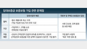 ‘깡통전세’ 막겠다는 임대보증보험… 제출서류만 최소 10개