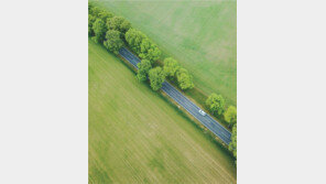 코로나로 위기의 경제… “변화와 혁신만이 살길”