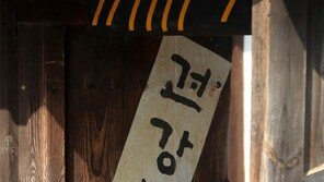 입춘대길[고양이 눈]