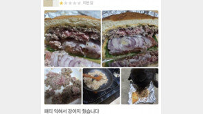 “개밥으로 줬다” 음식 리뷰에 의견 분분한 이유 [e글e글]