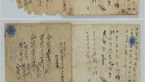 ‘만세운동’ 철사줄에 매달아 끌고 간 일제…어머니가 고발했다