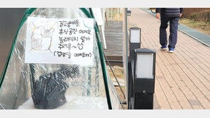 아늑한 고양이 쉼터