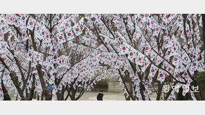 서울 효창공원 앞 ‘태극기 거리’