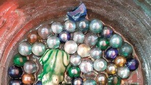 개구리야, 봄이 왔어![고양이 눈]