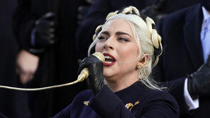 레이디 가가 개 산책 도우미 피격…개 반환 보상금 5억원