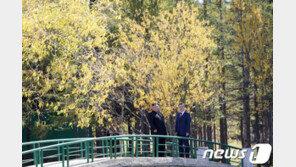 文정부 끝까지 노력했지만…2032년 남북공동올림픽 사실상 무산