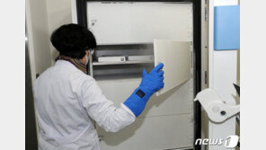 화이자 백신, 27일 9시 첫 접종…예방효과 95%, 큰 부작용 없어