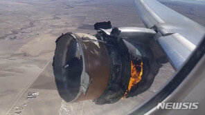 러시아서 보잉 777 항공기 비상 착륙…또 엔진 문제