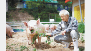 홍콩시장 수출 탄력… 한돈 고급화 이끌어