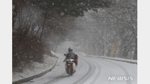 강원 폭설 최고 50㎝…습설이어서 붕괴·침몰 피해 우려