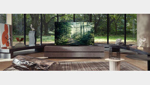 삼성 ‘네오 큐레드 TV’ 美서 “최고의 제품” 찬사