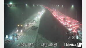 미시령 ‘77.6㎝’… 눈폭탄에 멈춰버린 강원 영동