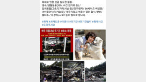 배우 이용녀 유기견보호소, 화재로 유기견 8마리 폐사·3000만원 피해