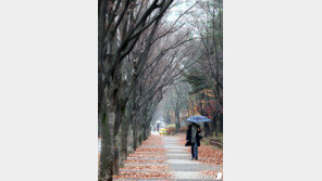 서산 72.5㎜…대전·충남 3월 들어서며 기록적 ‘하루 강수량’