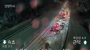 50㎝ 쌓이면 30톤…3배 더 무거운 ‘습설’ 피해 키웠다