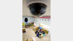 어린이집 학대 의심때 CCTV 원본 열람 쉬워진다…“무료로 확인 가능”