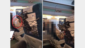 ‘KTX 햄버거 진상 승객’ 사과문…“허기져 예민했다”