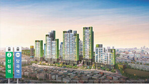 봉천동 재개발-신림뉴타운 사업 수혜 단지