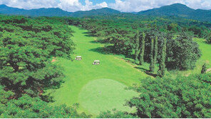 하루 4만5000원, 필리핀 골프장 무제한 라운딩