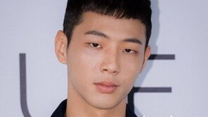 지수, 학폭 인정 “무릎 꿇어 사죄”… 활동 중단 얘기는 없어