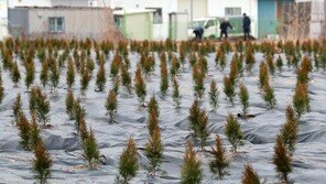 국민의힘 국토위 위원 “정부 2·4대책 전면 재검토 해야”