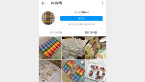 공무원 ‘시보떡’ 문화 손본다…행안부 장관 “불합리 관행 타파”