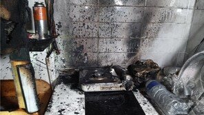 고양이가 전기레인지 ‘툭’…오피스텔 불나 75명 대피소동