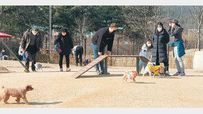 반려견과 행복한 봄나들이