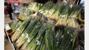농축수산물값, 10년만에 최대폭 상승 “3배로 비싸진 대파, 차라리 키워먹자” 