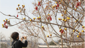 [날씨]포근한 경칩, 낮 기온 대부분 15도↑…큰 일교차