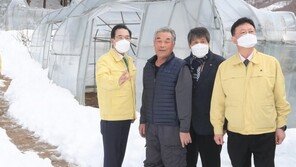 [포토]이성희 농협중앙회장, 강원 인제·양구지역 폭설피해 점검