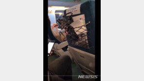 철도경찰대, KTX 햄버거 취식·폭언 여성 모욕죄 입건