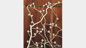 웃음 전파자[고양이 눈]