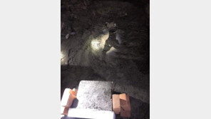 ‘태권소녀’ 무덤 파헤친 미얀마 군부… 사인 조작시도 가능성