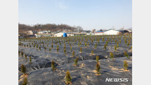 LH직원들 광명-시흥 땅 매입 시작 시점부터 일대 거래량 급증