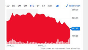 테슬라 급락으로 ‘월가의 황금손’ 캐시 우드 명성에 큰 타격